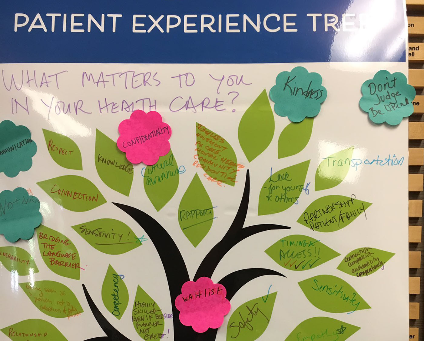 What Matters to You.Vancouver Island.Patient Experience Tree